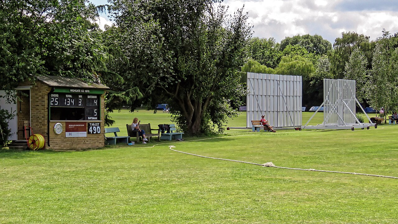 Powerplays explained: cricket's fielding-restriction overs