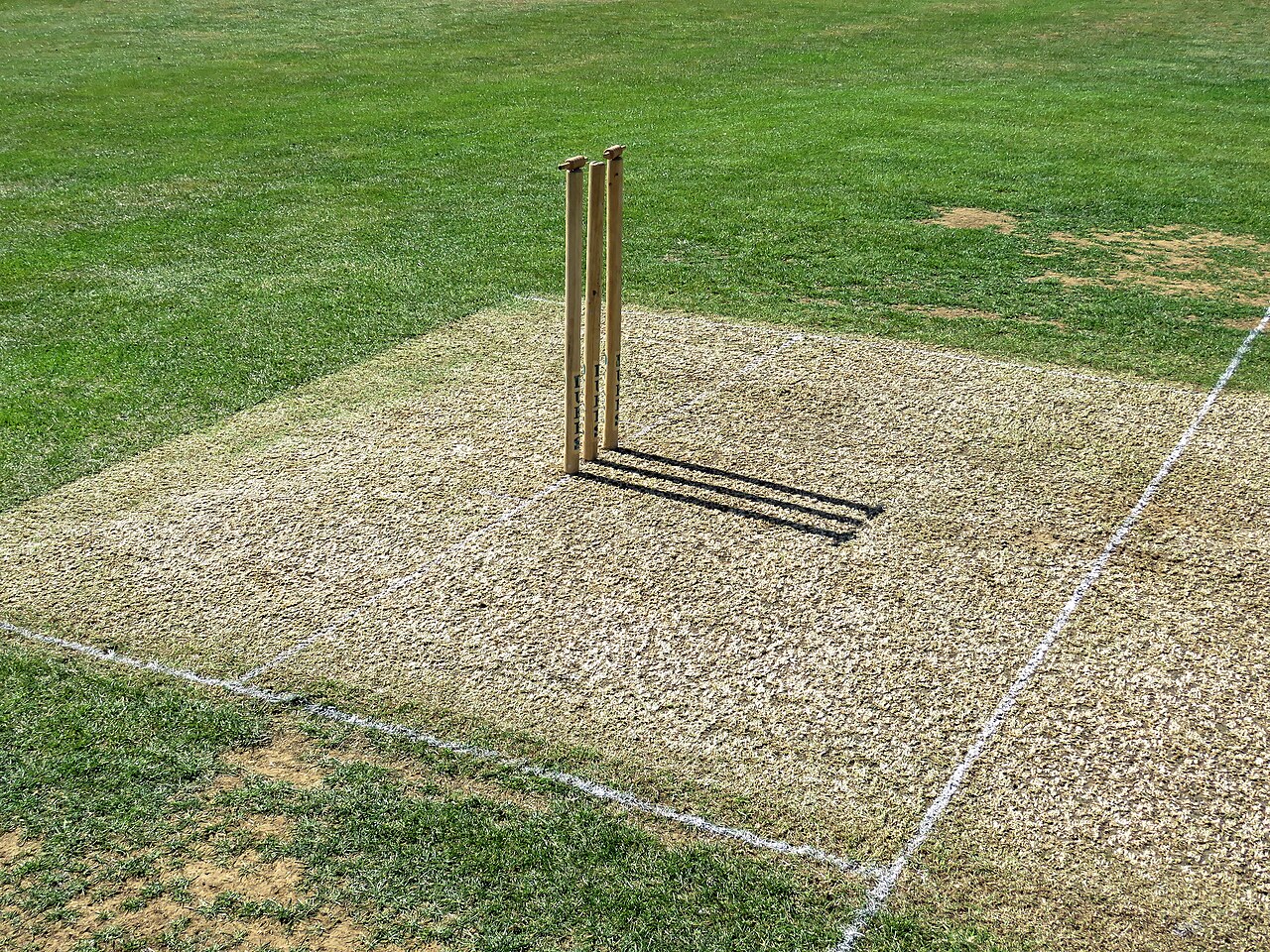 Every way to get out in cricket, explained